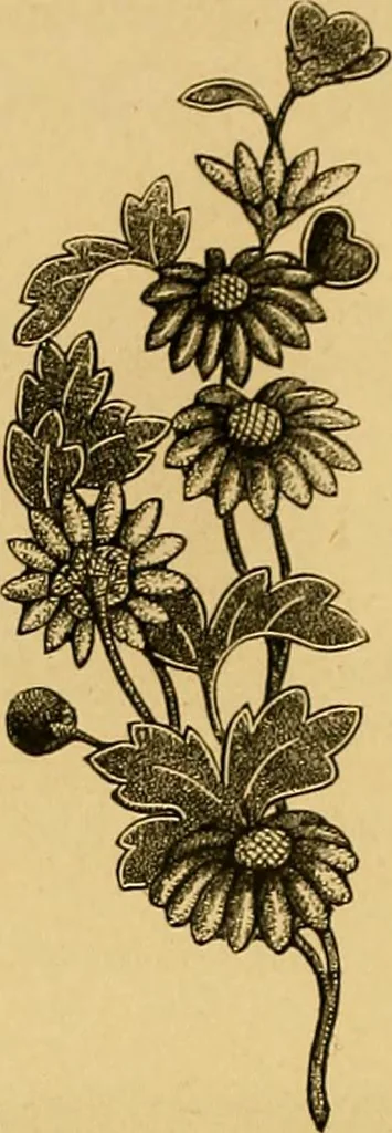 An illustration from Histoire de la verrerie et de l'émaillerie, 1886, leaf 582