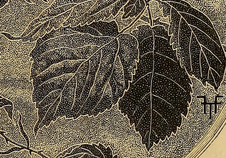 An illustration from Histoire de la verrerie et de l'émaillerie, 1886, leaf 587