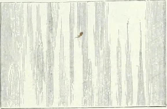 An illustration from Histoire de la verrerie et de l'émaillerie, 1886, leaf 237