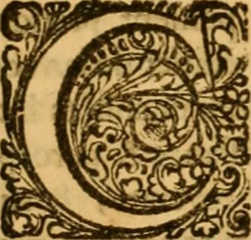 An illustration from Histoire de l'Edit de Nantes; contenant les choses les plus remarquables qui se sont passées en France avant & après sa publication, à l'occasion de la diversité des religions ... jusques à l'edit de revocation en octobre 1685. Avec ce qui a suivi ce nouvel edit jusques à present, 1693, leaf 552