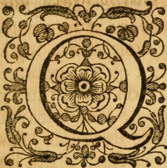 An illustration from Histoire de l'Edit de Nantes; contenant les choses les plus remarquables qui se sont passées en France avant & après sa publication, à l'occasion de la diversité des religions ... jusques à l'edit de revocation en octobre 1685. Avec ce qui a suivi ce nouvel edit jusques à present, 1693, leaf 58