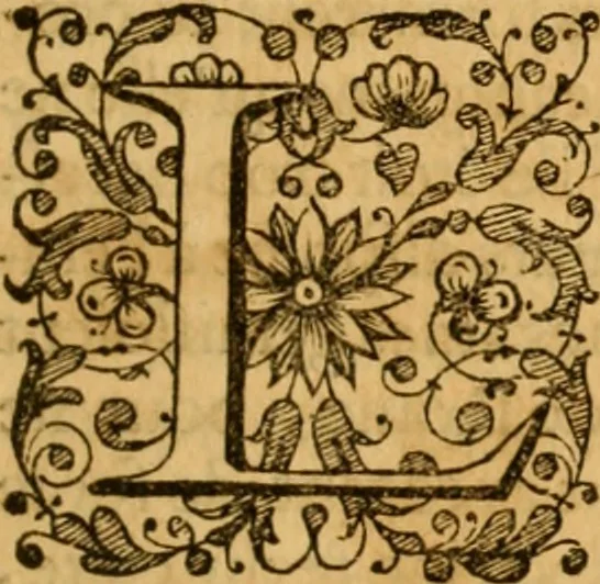An illustration from Histoire de l'Edit de Nantes; contenant les choses les plus remarquables qui se sont passées en France avant & après sa publication, à l'occasion de la diversité des religions ... jusques à l'edit de revocation en octobre 1685. Avec ce qui a suivi ce nouvel edit jusques à present, 1693, leaf 82