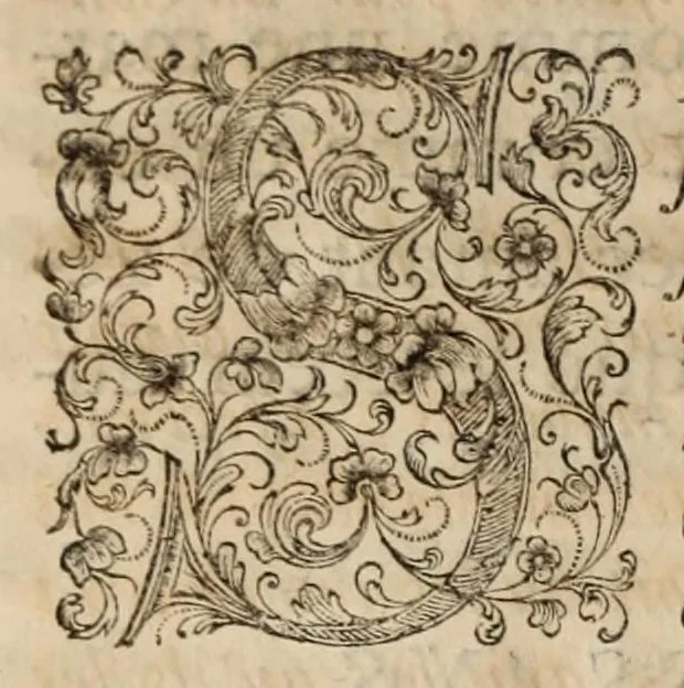 An illustration from Histoire de l'Edit de Nantes; contenant les choses les plus remarquables qui se sont passées en France avant & après sa publication, à l'occasion de la diversité des religions ... jusques à l'edit de revocation en octobre 1685. Avec ce qui a suivi ce nouvel edit jusques à present, 1693, leaf 24