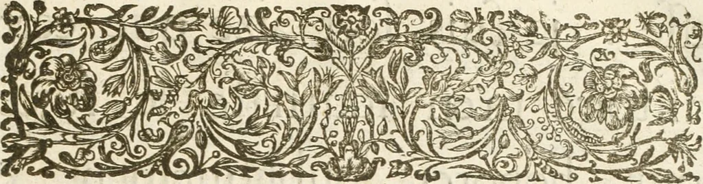 An illustration from Histoire de l'entree de la reyne mere du roy tres-chrestien dans les Provinces Vnies des Pays-Bas : enrichie de planches, 1639, leaf 14