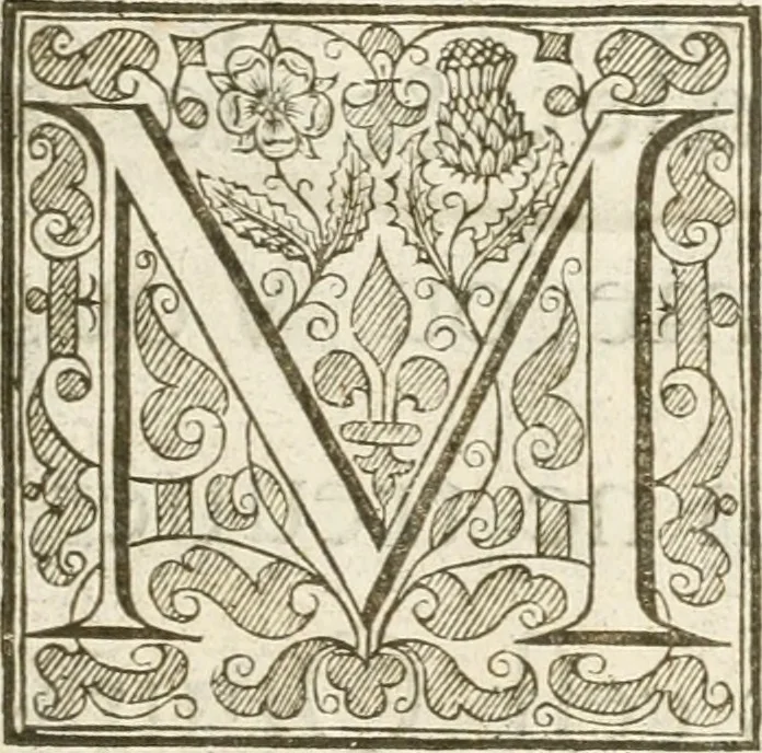 An illustration from Histoire de l'entree de la reyne mere du roy tres-chrestien dans les Provinces Vnies des Pays-Bas : enrichie de planches, 1639, leaf 14