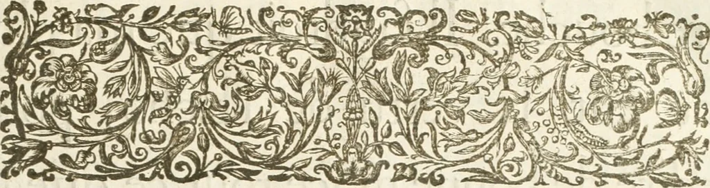 An illustration from Histoire de l'entree de la reyne mere du roy tres-chrestien dans les Provinces Vnies des Pays-Bas : enrichie de planches, 1639, leaf 20