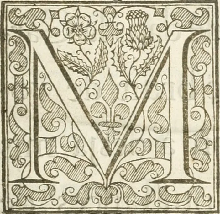 An illustration from Histoire de l'entree de la reyne mere du roy tres-chrestien dans les Provinces Vnies des Pays-Bas : enrichie de planches, 1639, leaf 20