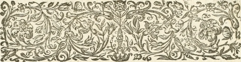 An illustration from Histoire de l'entree de la reyne mere du roy tres-chrestien dans les Provinces Vnies des Pays-Bas : enrichie de planches, 1639, leaf 24