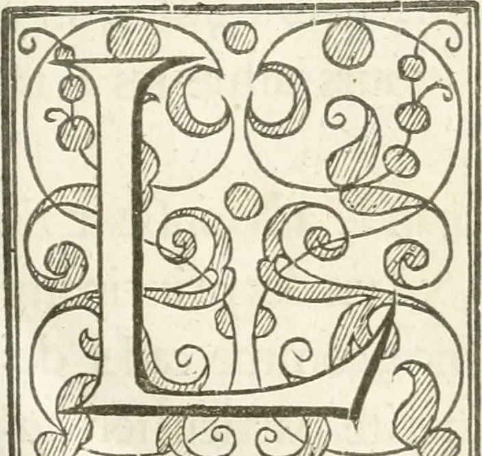 An illustration from Histoire de l'entree de la reyne mere du roy tres-chrestien dans les Provinces Vnies des Pays-Bas : enrichie de planches, 1639, leaf 24