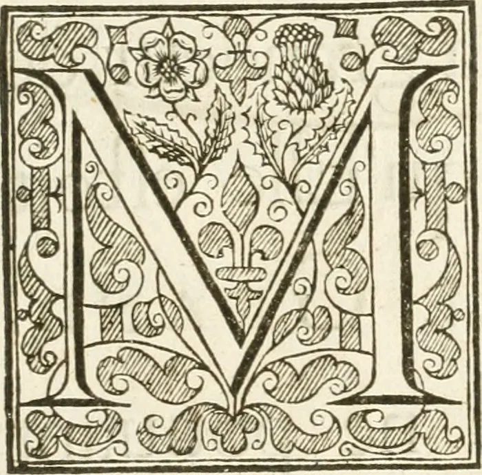 An illustration from Histoire de l'entree de la reyne mere du roy tres-chrestien dans les Provinces Vnies des Pays-Bas : enrichie de planches, 1639, leaf 8