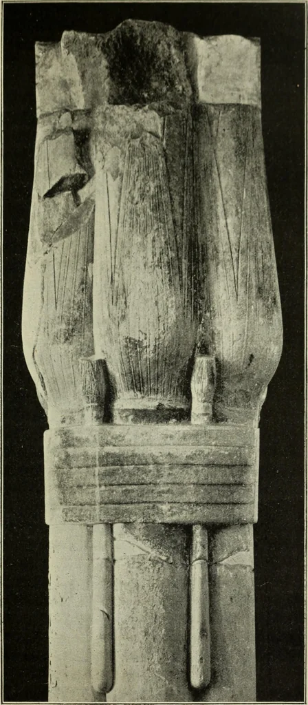 An illustration from Histoire de l'ordre lotiforme; étude d'archéologie égyptienne, 1897, leaf 115