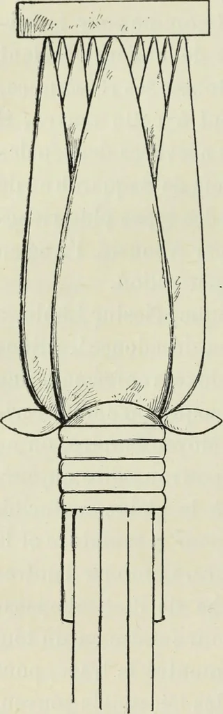 An illustration from Histoire de l'ordre lotiforme; étude d'archéologie égyptienne, 1897, leaf 122