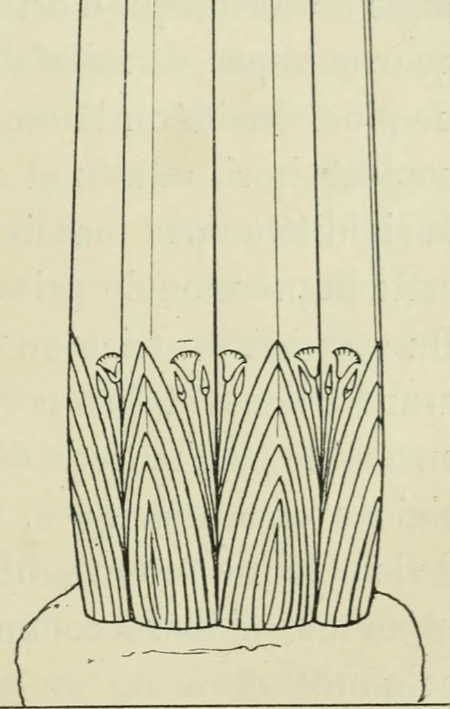 An illustration from Histoire de l'ordre lotiforme; étude d'archéologie égyptienne, 1897, leaf 215