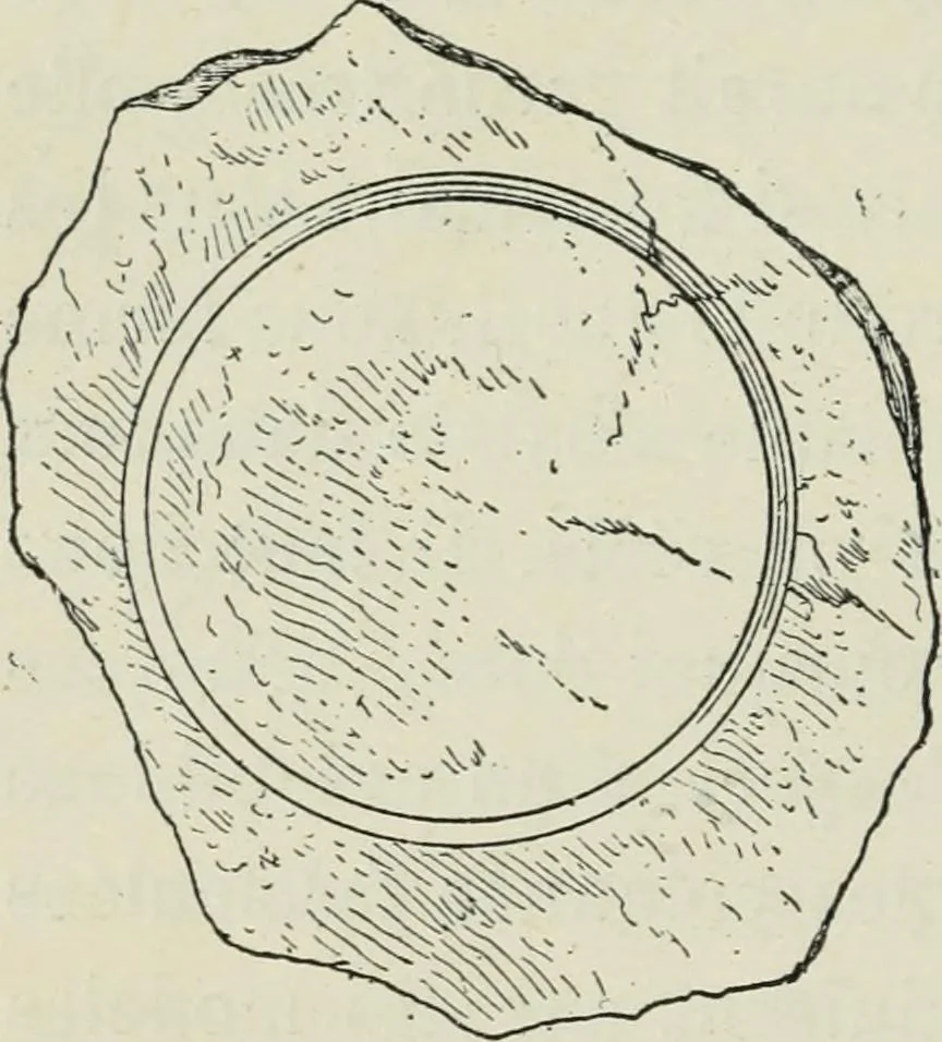 An illustration from Histoire de l'ordre lotiforme; étude d'archéologie égyptienne, 1897, leaf 50