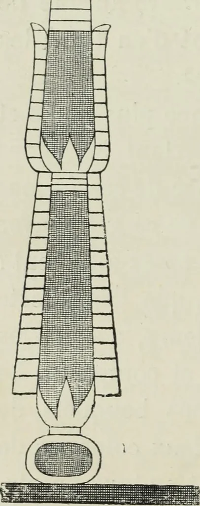 An illustration from Histoire de l'ordre lotiforme; étude d'archéologie égyptienne, 1897, leaf 78