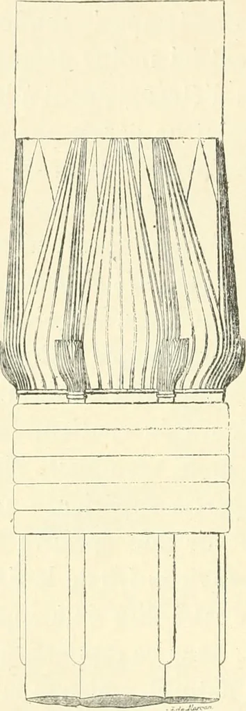 An illustration from Histoire de l'ordre lotiforme: étude d'archélogie égyptienne, 1897, leaf 111