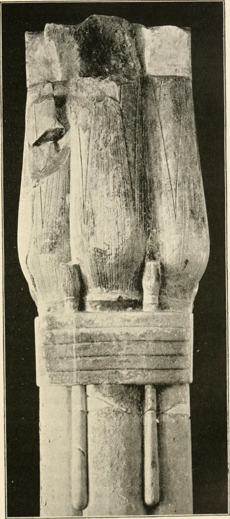 An illustration from Histoire de l'ordre lotiforme: étude d'archélogie égyptienne, 1897, leaf 118