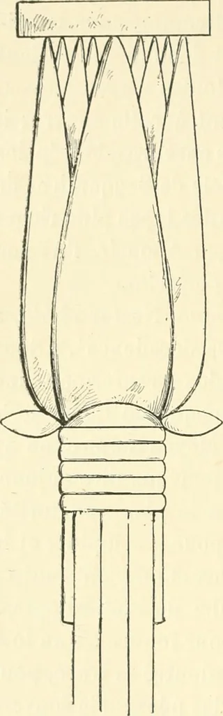 An illustration from Histoire de l'ordre lotiforme: étude d'archélogie égyptienne, 1897, leaf 125