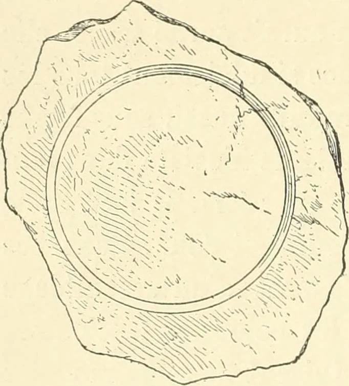 An illustration from Histoire de l'ordre lotiforme: étude d'archélogie égyptienne, 1897, leaf 53