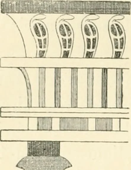 An illustration from Histoire de l'ordre lotiforme: étude d'archélogie égyptienne, 1897, leaf 81