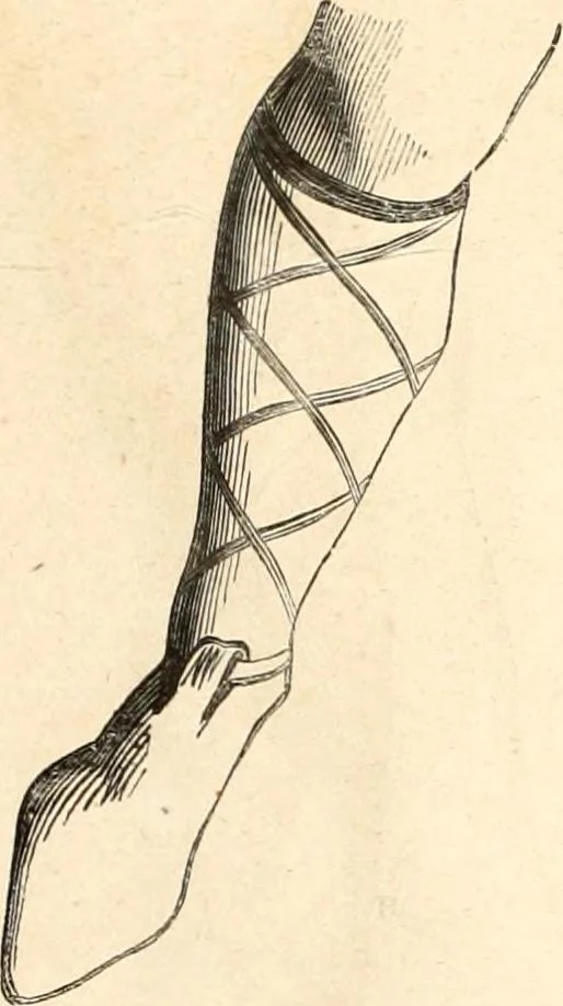 An illustration from Histoire de l'orfévrerie-joaillerie et des anciennes communautés et confréries d'orfévres-joailliers de la France et de la Belgique, 1850, leaf 512