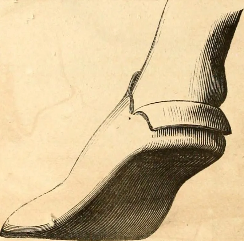 An illustration from Histoire de l'orfévrerie-joaillerie et des anciennes communautés et confréries d'orfévres-joailliers de la France et de la Belgique, 1850, leaf 551