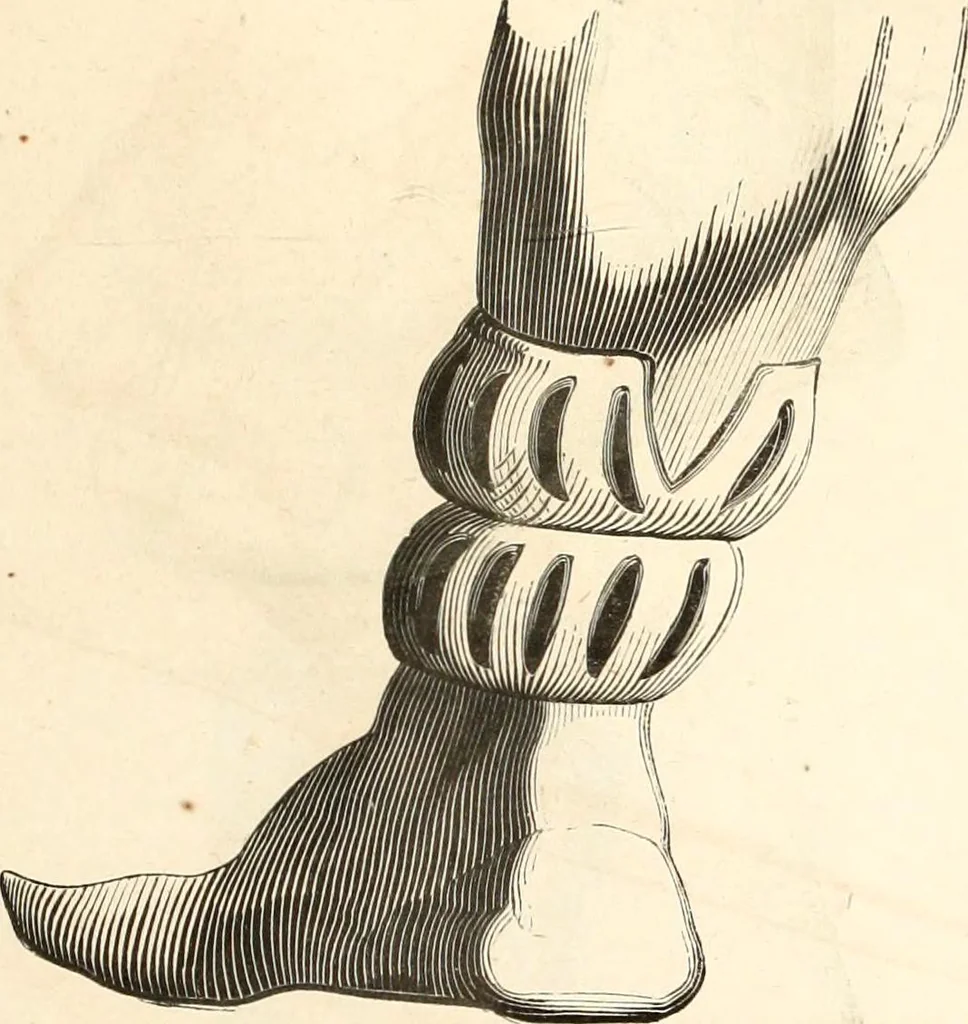 An illustration from Histoire de l'orfévrerie-joaillerie et des anciennes communautés et confréries d'orfévres-joailliers de la France et de la Belgique, 1850, leaf 556