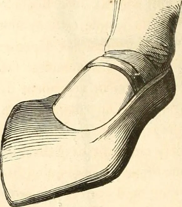 An illustration from Histoire de l'orfévrerie-joaillerie et des anciennes communautés et confréries d'orfévres-joailliers de la France et de la Belgique, 1850, leaf 559