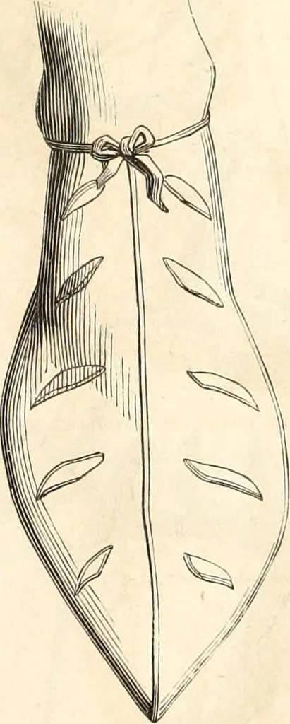 An illustration from Histoire de l'orfévrerie-joaillerie et des anciennes communautés et confréries d'orfévres-joailliers de la France et de la Belgique, 1850, leaf 566