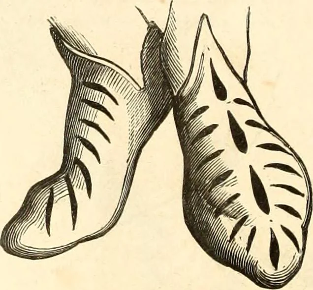 An illustration from Histoire de l'orfévrerie-joaillerie et des anciennes communautés et confréries d'orfévres-joailliers de la France et de la Belgique, 1850, leaf 569