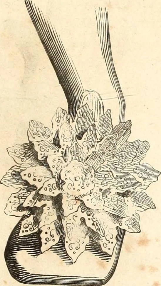 An illustration from Histoire de l'orfévrerie-joaillerie et des anciennes communautés et confréries d'orfévres-joailliers de la France et de la Belgique, 1850, leaf 576