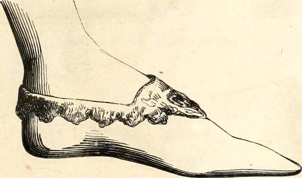 An illustration from Histoire de l'orfévrerie-joaillerie et des anciennes communautés et confréries d'orfévres-joailliers de la France et de la Belgique, 1850, leaf 596