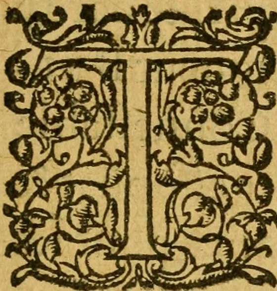 An illustration from Histoire de messire Bertrand du Guesclin ... contenant les guerres, batailles, & conquestes faites sur les Anglois, Espagnols, & autres, durant les regnes des rois Jean & Charles V. Escrite en prose l'an M.CCC.LXXXVII. à la requeste de messire Jean d'Estouteville ... et nouvellement mise en lumiere par Me. Claude Menard, 1618, leaf 28