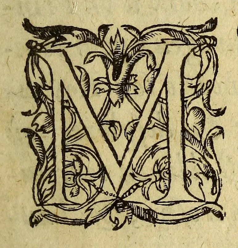 An illustration from Histoire de nostre temps, 1622, leaf 7