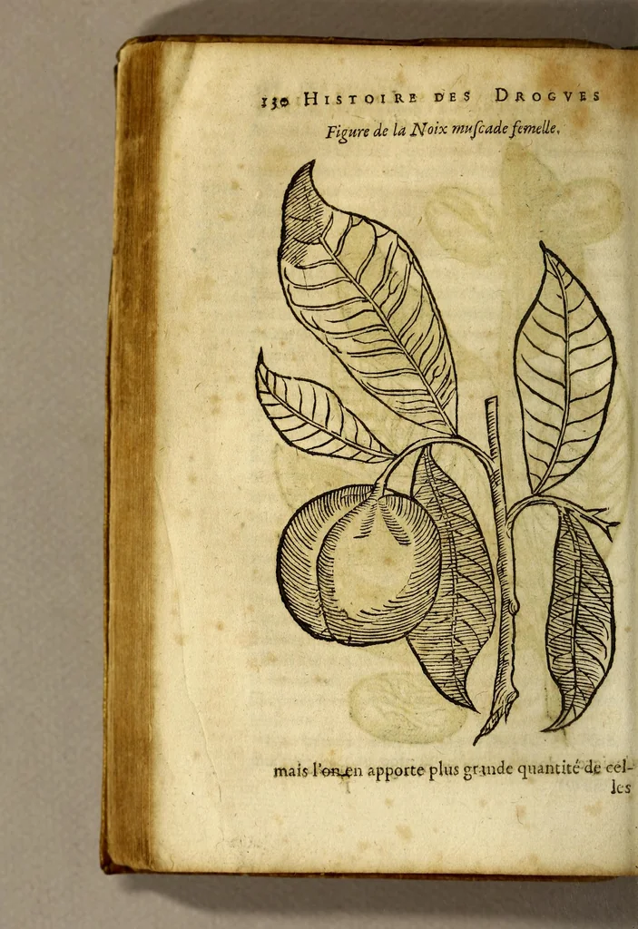 An illustration from Histoire de Portugal, : contenant les entreprises, nauigations, & gestes memorables des Portugallois, tant en la conqueste des Indes Orientales par eux descouuertes, qu'és guerres d'Afrique & autres exploits, depuis l'an mil quatre cens nona[n]te six, sous Emmanuel premier, Iea[n] troisiesme, & Sebastia[n] premier du nom., 1581, leaf 150