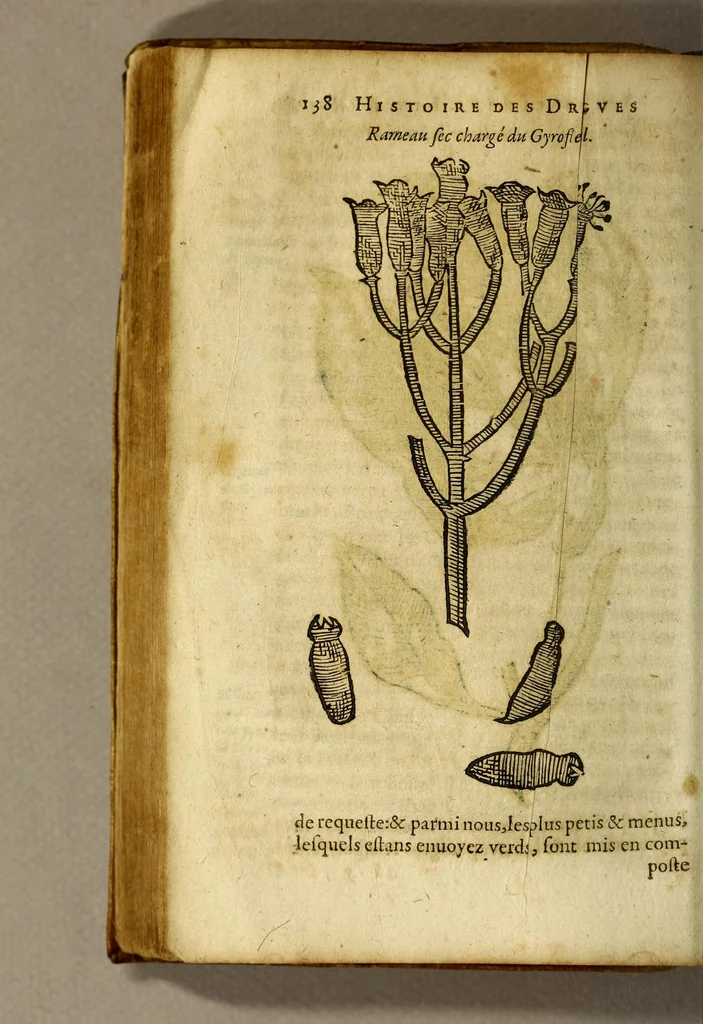 An illustration from Histoire de Portugal, : contenant les entreprises, nauigations, & gestes memorables des Portugallois, tant en la conqueste des Indes Orientales par eux descouuertes, qu'és guerres d'Afrique & autres exploits, depuis l'an mil quatre cens nona[n]te six, sous Emmanuel premier, Iea[n] troisiesme, & Sebastia[n] premier du nom., 1581, leaf 158