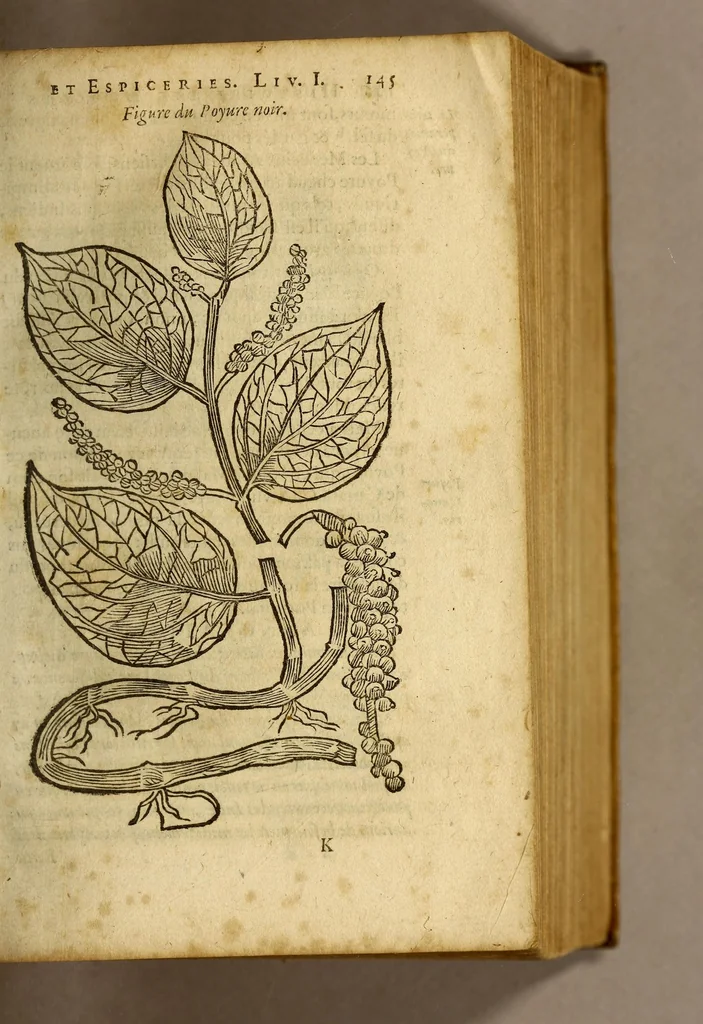 An illustration from Histoire de Portugal, : contenant les entreprises, nauigations, & gestes memorables des Portugallois, tant en la conqueste des Indes Orientales par eux descouuertes, qu'és guerres d'Afrique & autres exploits, depuis l'an mil quatre cens nona[n]te six, sous Emmanuel premier, Iea[n] troisiesme, & Sebastia[n] premier du nom., 1581, leaf 165