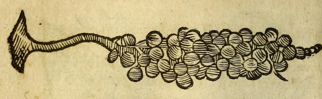 An illustration from Histoire de Portugal, : contenant les entreprises, nauigations, & gestes memorables des Portugallois, tant en la conqueste des Indes Orientales par eux descouuertes, qu'és guerres d'Afrique & autres exploits, depuis l'an mil quatre cens nona[n]te six, sous Emmanuel premier, Iea[n] troisiesme, & Sebastia[n] premier du nom., 1581, leaf 170