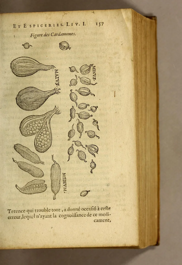 An illustration from Histoire de Portugal, : contenant les entreprises, nauigations, & gestes memorables des Portugallois, tant en la conqueste des Indes Orientales par eux descouuertes, qu'és guerres d'Afrique & autres exploits, depuis l'an mil quatre cens nona[n]te six, sous Emmanuel premier, Iea[n] troisiesme, & Sebastia[n] premier du nom., 1581, leaf 177
