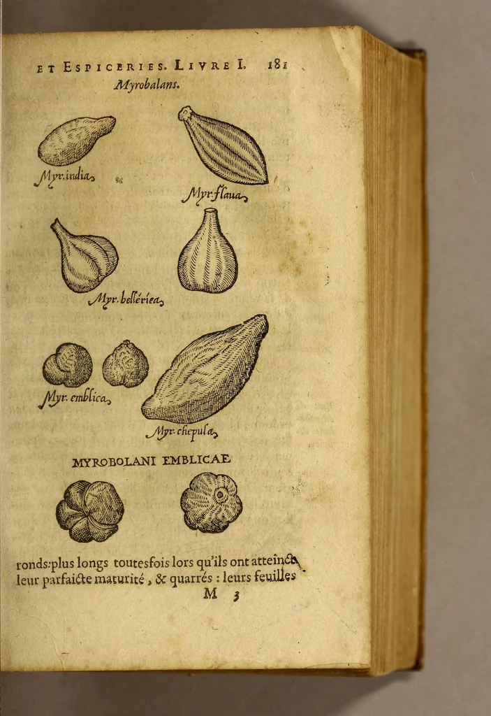 An illustration from Histoire de Portugal, : contenant les entreprises, nauigations, & gestes memorables des Portugallois, tant en la conqueste des Indes Orientales par eux descouuertes, qu'és guerres d'Afrique & autres exploits, depuis l'an mil quatre cens nona[n]te six, sous Emmanuel premier, Iea[n] troisiesme, & Sebastia[n] premier du nom., 1581, leaf 201