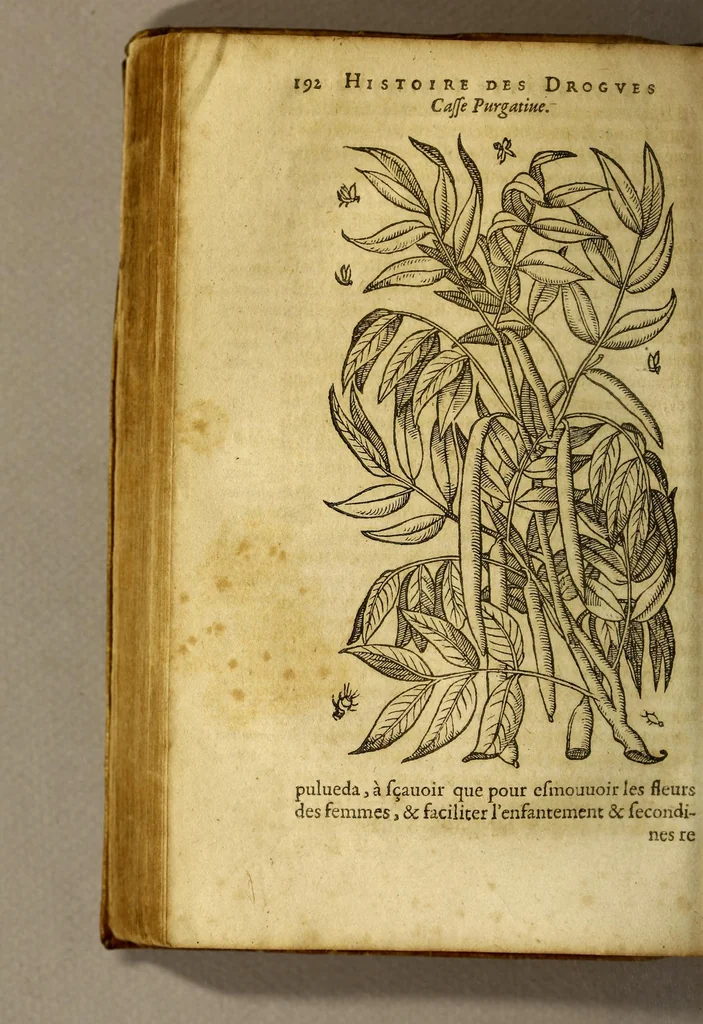 An illustration from Histoire de Portugal, : contenant les entreprises, nauigations, & gestes memorables des Portugallois, tant en la conqueste des Indes Orientales par eux descouuertes, qu'és guerres d'Afrique & autres exploits, depuis l'an mil quatre cens nona[n]te six, sous Emmanuel premier, Iea[n] troisiesme, & Sebastia[n] premier du nom., 1581, leaf 212