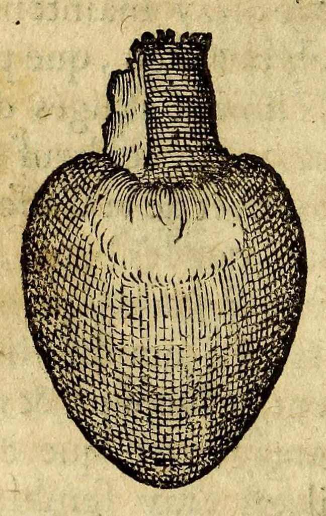 An illustration from Histoire de Portugal, : contenant les entreprises, nauigations, & gestes memorables des Portugallois, tant en la conqueste des Indes Orientales par eux descouuertes, qu'és guerres d'Afrique & autres exploits, depuis l'an mil quatre cens nona[n]te six, sous Emmanuel premier, Iea[n] troisiesme, & Sebastia[n] premier du nom., 1581, leaf 214