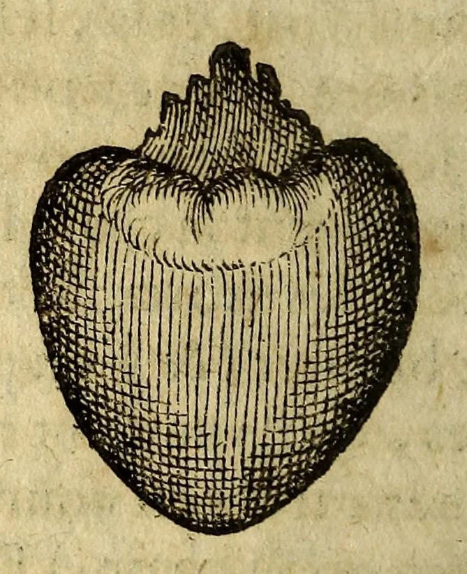 An illustration from Histoire de Portugal, : contenant les entreprises, nauigations, & gestes memorables des Portugallois, tant en la conqueste des Indes Orientales par eux descouuertes, qu'és guerres d'Afrique & autres exploits, depuis l'an mil quatre cens nona[n]te six, sous Emmanuel premier, Iea[n] troisiesme, & Sebastia[n] premier du nom., 1581, leaf 214