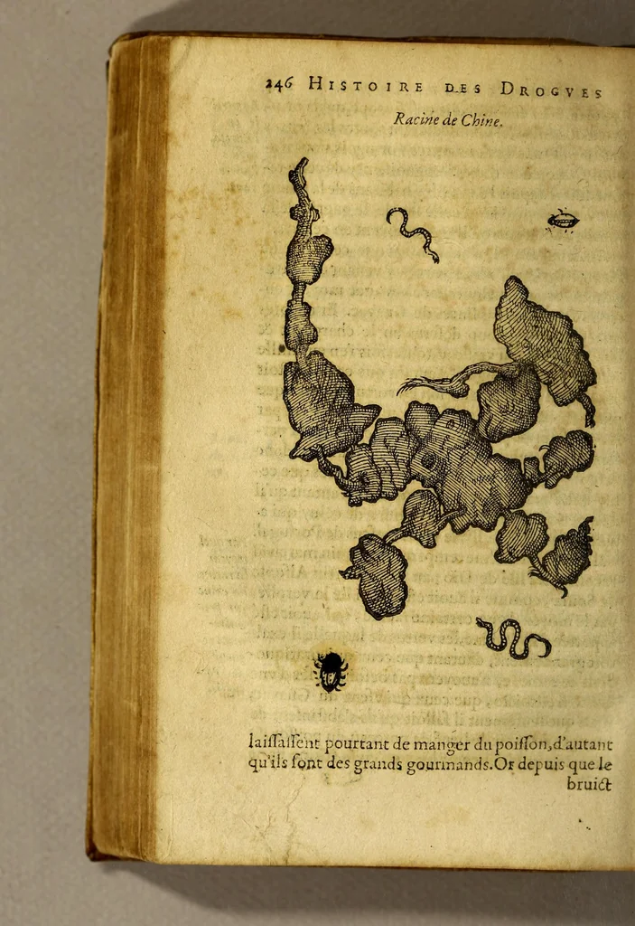 An illustration from Histoire de Portugal, : contenant les entreprises, nauigations, & gestes memorables des Portugallois, tant en la conqueste des Indes Orientales par eux descouuertes, qu'és guerres d'Afrique & autres exploits, depuis l'an mil quatre cens nona[n]te six, sous Emmanuel premier, Iea[n] troisiesme, & Sebastia[n] premier du nom., 1581, leaf 266