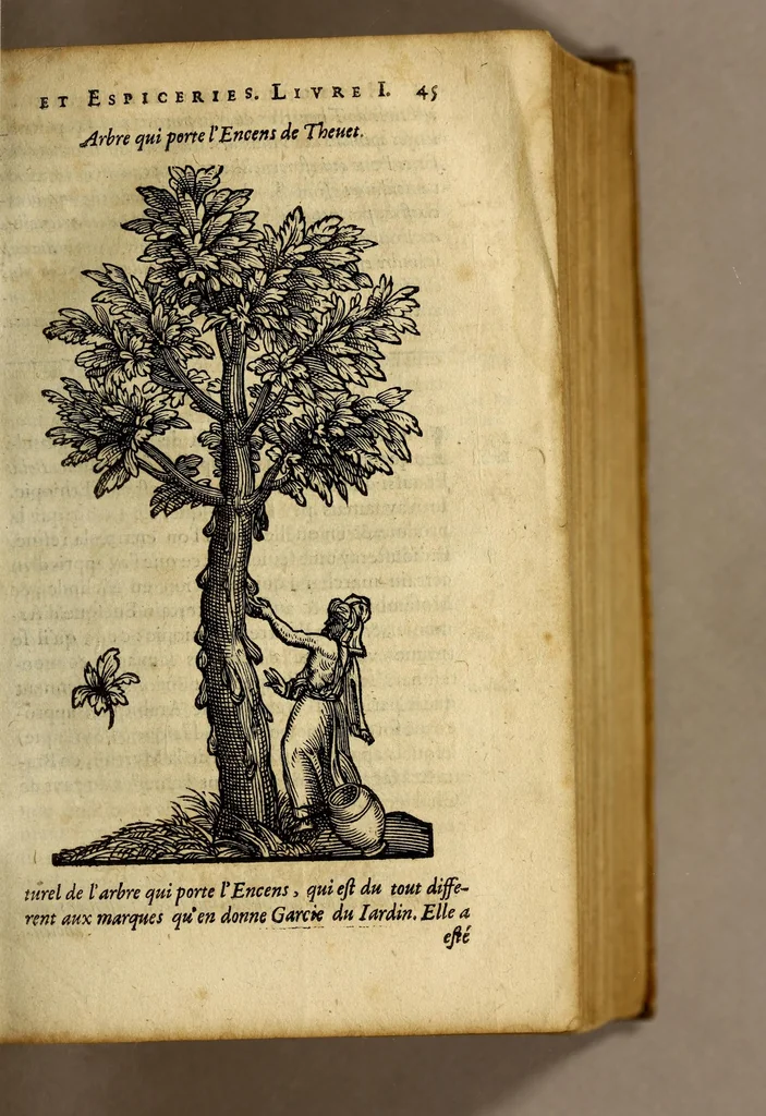 An illustration from Histoire de Portugal, : contenant les entreprises, nauigations, & gestes memorables des Portugallois, tant en la conqueste des Indes Orientales par eux descouuertes, qu'és guerres d'Afrique & autres exploits, depuis l'an mil quatre cens nona[n]te six, sous Emmanuel premier, Iea[n] troisiesme, & Sebastia[n] premier du nom., 1581, leaf 65