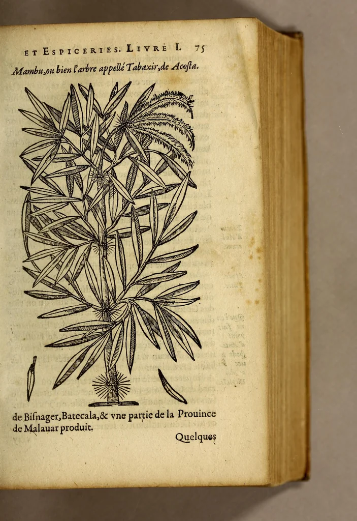 An illustration from Histoire de Portugal, : contenant les entreprises, nauigations, & gestes memorables des Portugallois, tant en la conqueste des Indes Orientales par eux descouuertes, qu'és guerres d'Afrique & autres exploits, depuis l'an mil quatre cens nona[n]te six, sous Emmanuel premier, Iea[n] troisiesme, & Sebastia[n] premier du nom., 1581, leaf 95