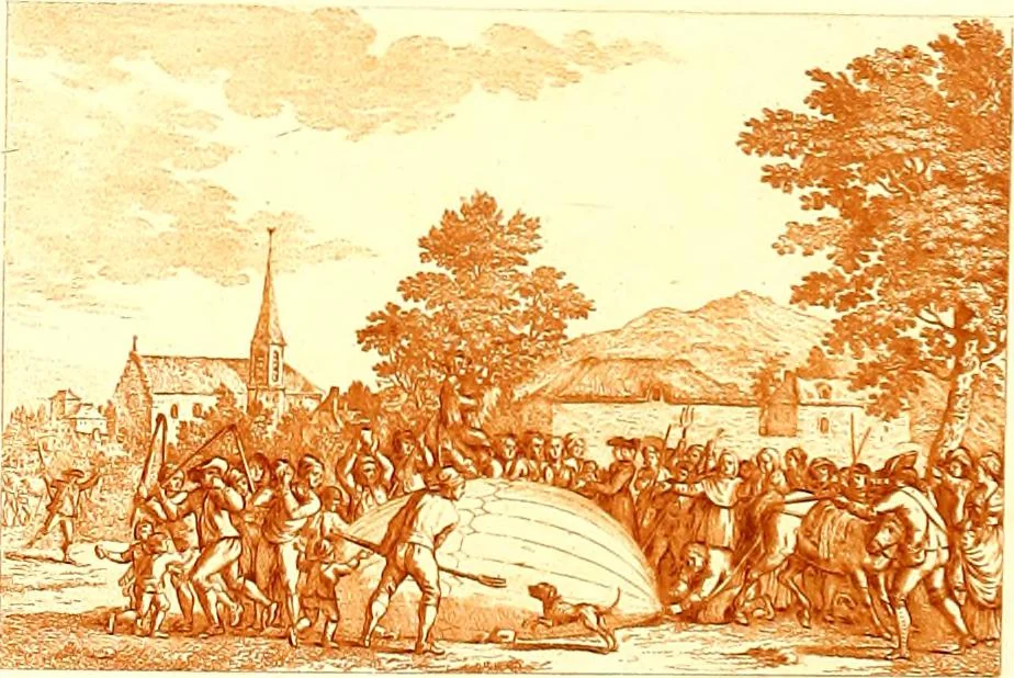 An illustration from Histoire des ballons et des aéronautes célèbres ..., 1887, leaf 55