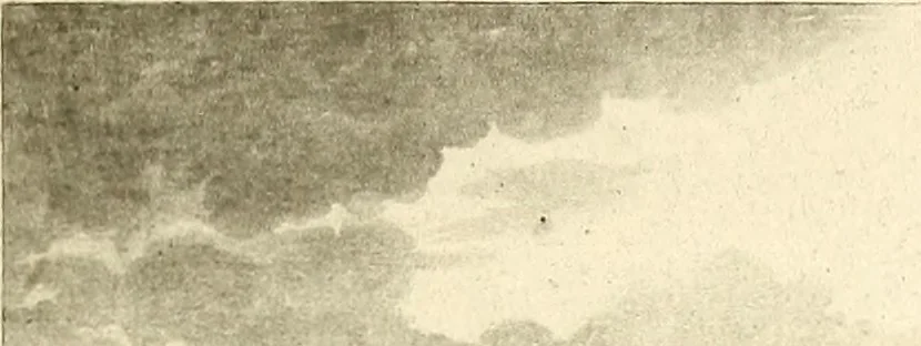 An illustration from Histoire des ballons et des aéronautes célèbres ..., 1887, leaf 62