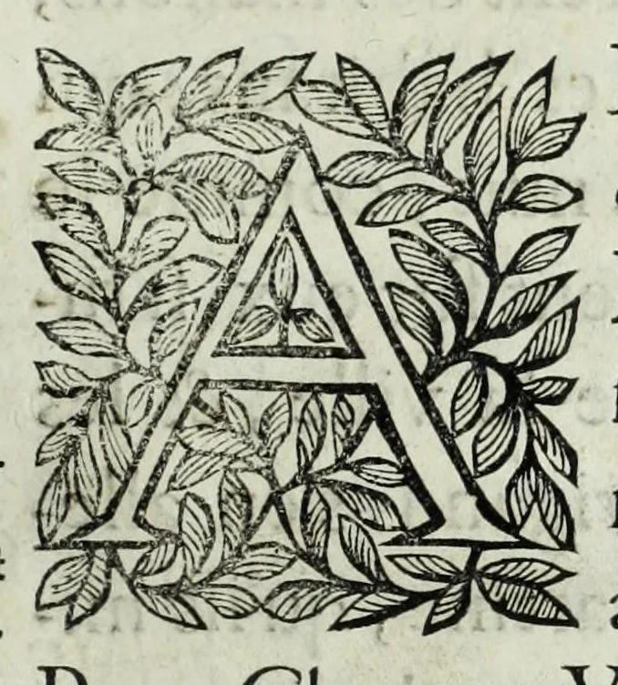 An illustration from Histoire des comtes de Prouence : enrichie de plusieurs de leurs portraits, de leurs sceaux, & des monnoyes de leur temps, qui n'auoient pas encore veu le iour, 1655, leaf 341