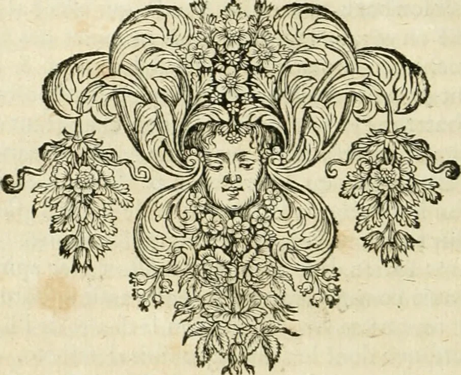 An illustration from Histoire des empereurs, et des autres princes qui ont regné durant les six premiers siècles de l'église, de leurs guerres contre les Juifs, des écrivains profanes, & des personnes les plus illustrés de leur temps Justifiée par les citations des auteurs originaux; avec des notes pour éclaircir les principales difficultés de l'histoire, 1700, leaf 353